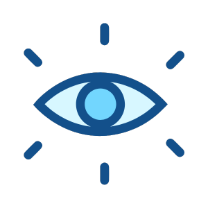 Our Vision